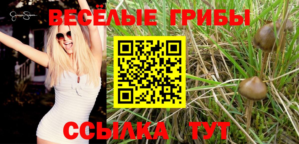 Галлюциногенные грибы Psilocybine cubensis  Вход с VPN  Ульяновск 